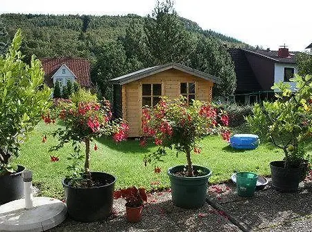 Haus-schneider-grosse-ferienwohnung * Wolfshagen (Lower-Saxony)